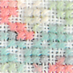 4501 - Wild Flowers